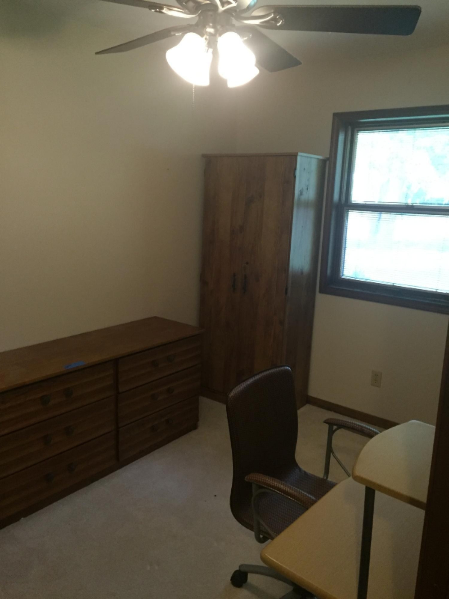 1229 Schavey Road Dewitt, MI 48820 - Photo 10 of 22 079