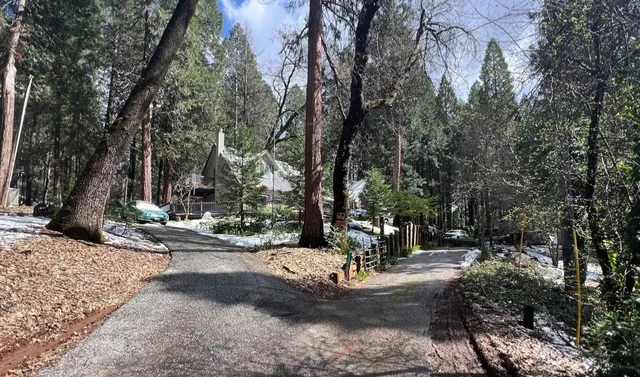 a view of a park with tree