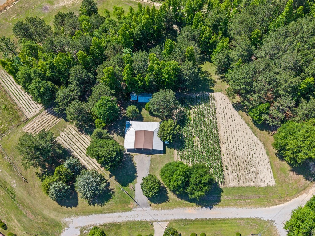 32724 Bozeman Road Dozier, AL 36028 - Photo 4 of 59