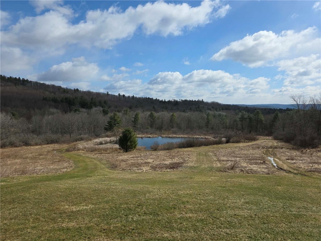 846 Butternut Road Unadilla, NY 13849 - Photo 6 of 48