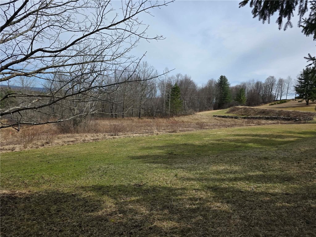 846 Butternut Road Unadilla, NY 13849 - Photo 7 of 48