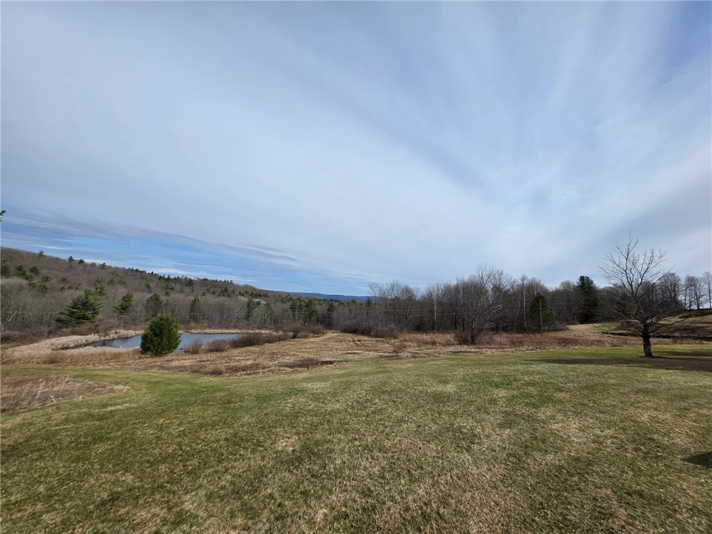 846 Butternut Road Unadilla, NY 13849 - Photo 8 of 48