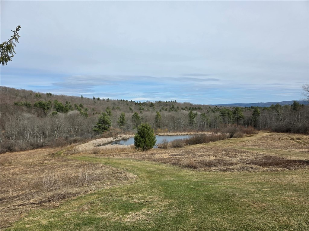 846 Butternut Road Unadilla, NY 13849 - Photo 9 of 48