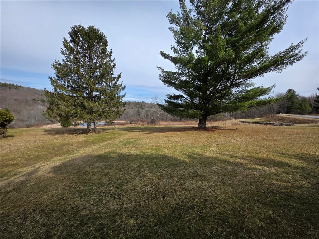 846 Butternut Road Unadilla, NY 13849 - Photo 10 of 48