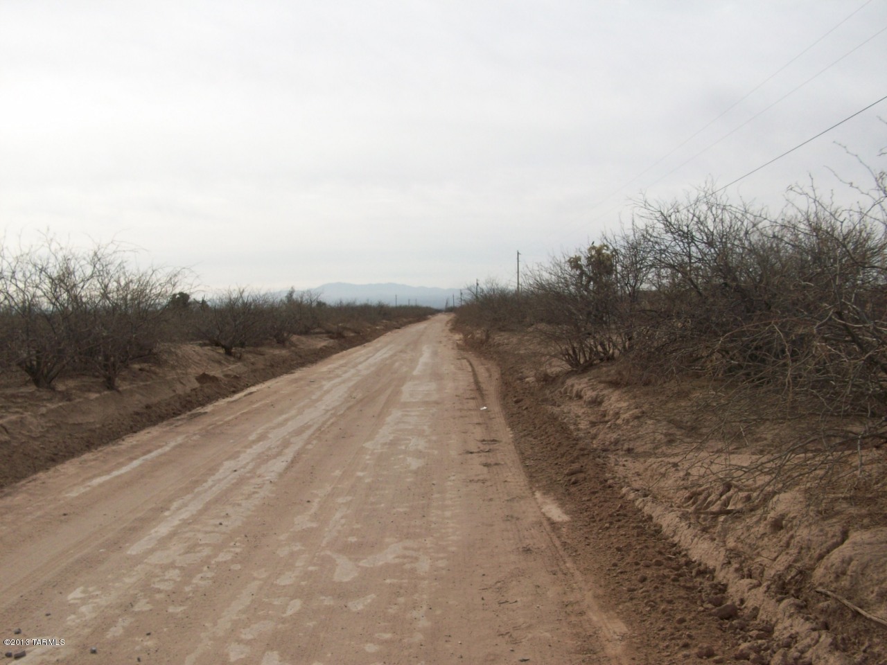 4952 South Marstellar Road Tucson, AZ 85735 - Photo 2 of 7 Gallery Image 2