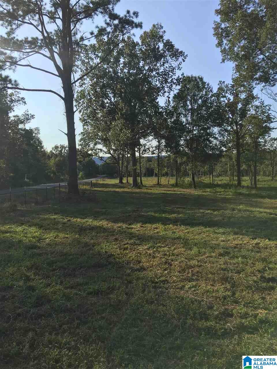 0 County Road 31 Springville, AL 35146 - Photo 2 of 18 Gallery Image 2