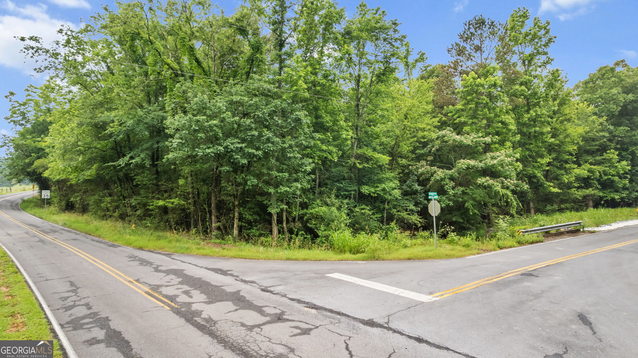 a view of a yard and a fountain
