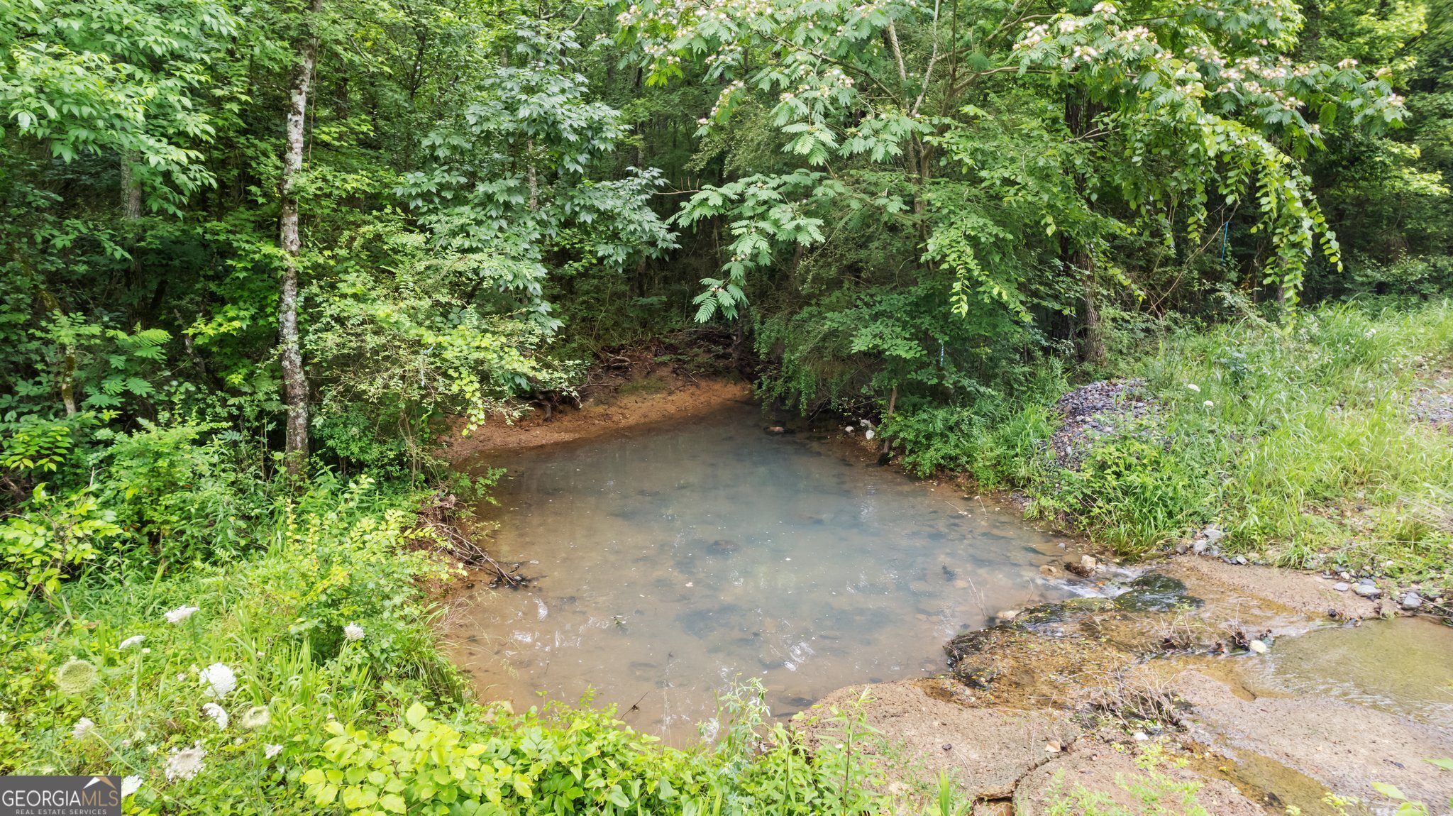 0 Mcclain Road Kingston, GA 30145 - Photo 2 of 6 a view of a yard with plants and tree