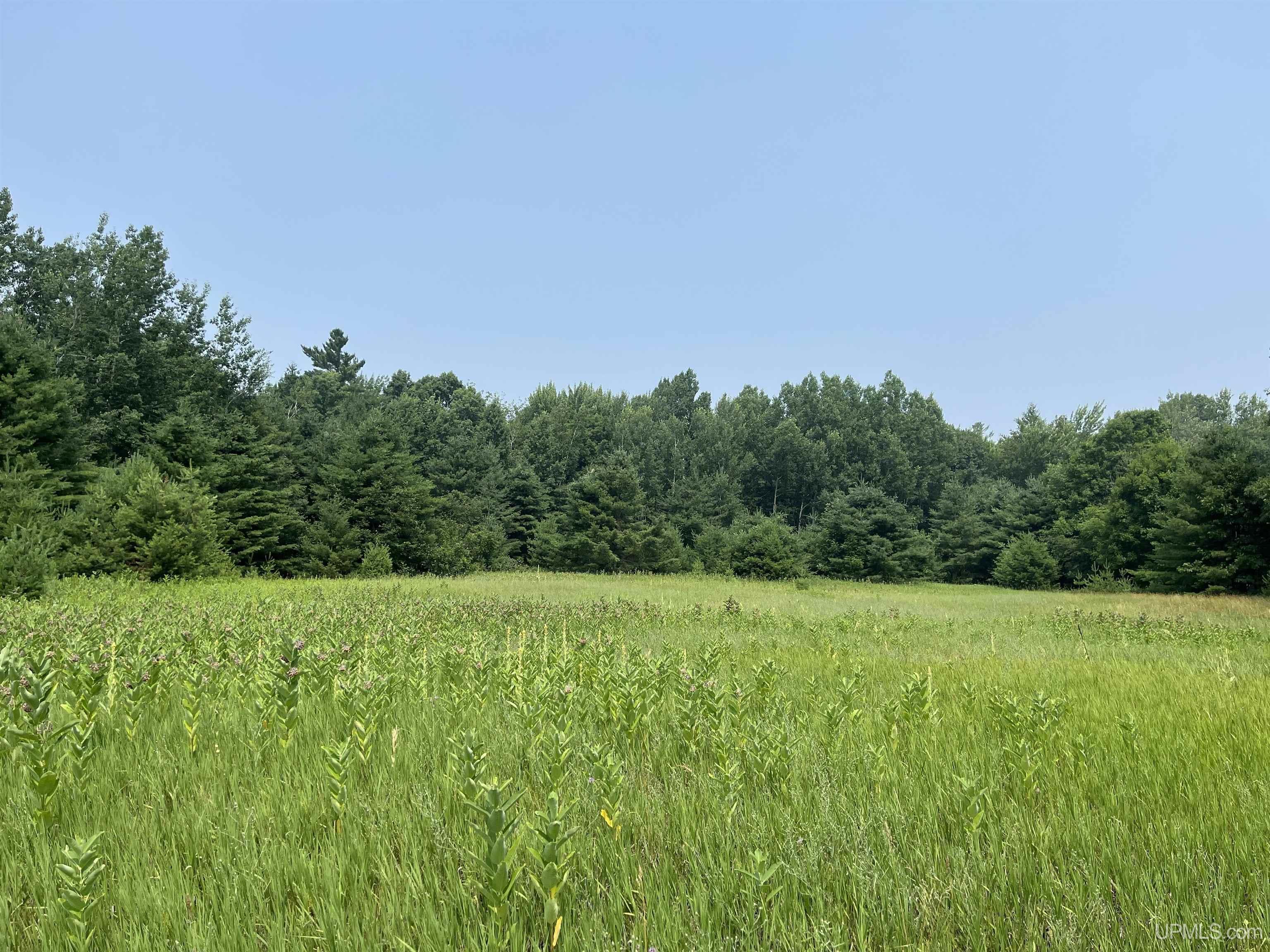 Tbd1 Lower Point Mills Road Dollar Bay, MI 49922 - Photo 2 of 19 Gallery Image 2