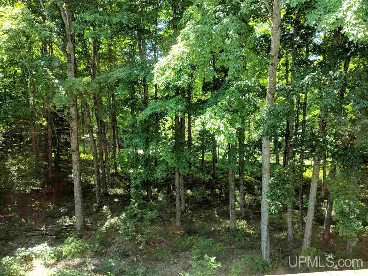 635 Co Road Marquette, MI 49855 - Photo 29 of 50