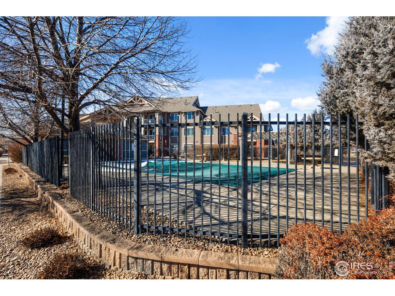 2133 Krisron Road, Unit D208 Fort Collins, CO 80525 - Photo 32 of 35 Community Pool