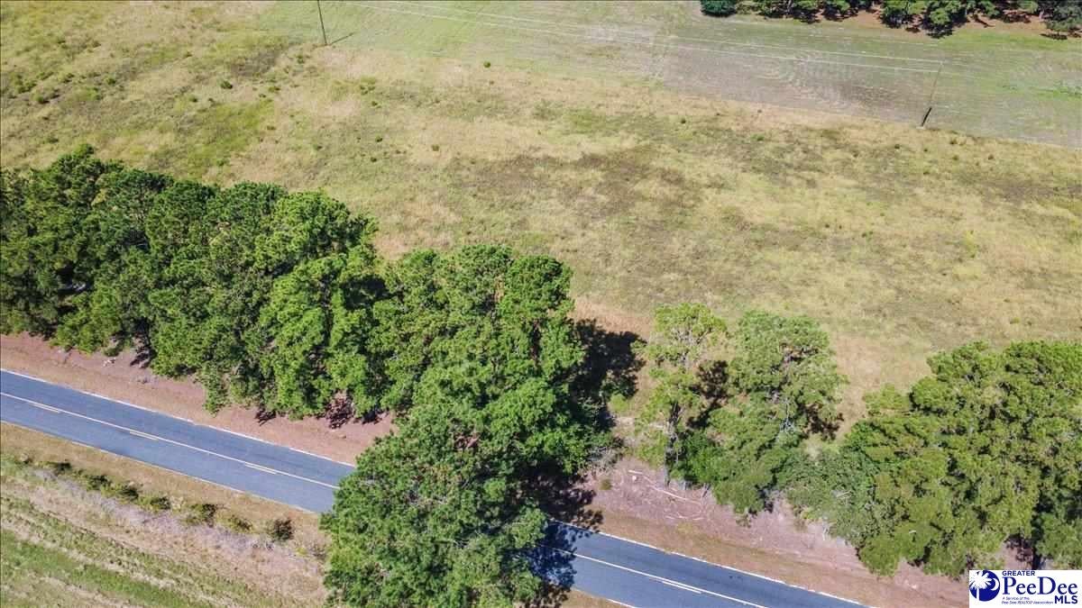 Tbd Tbd Southern Aire Road, Unit 12 Timmonsville, SC 29161 - Photo 20 of 21 Gallery Image 20