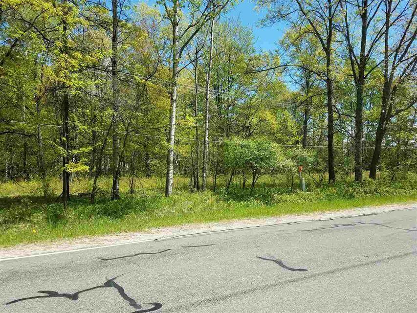 Flint Road Roscommon, MI 48653 - Photo 1 of 6 Gallery Image 1