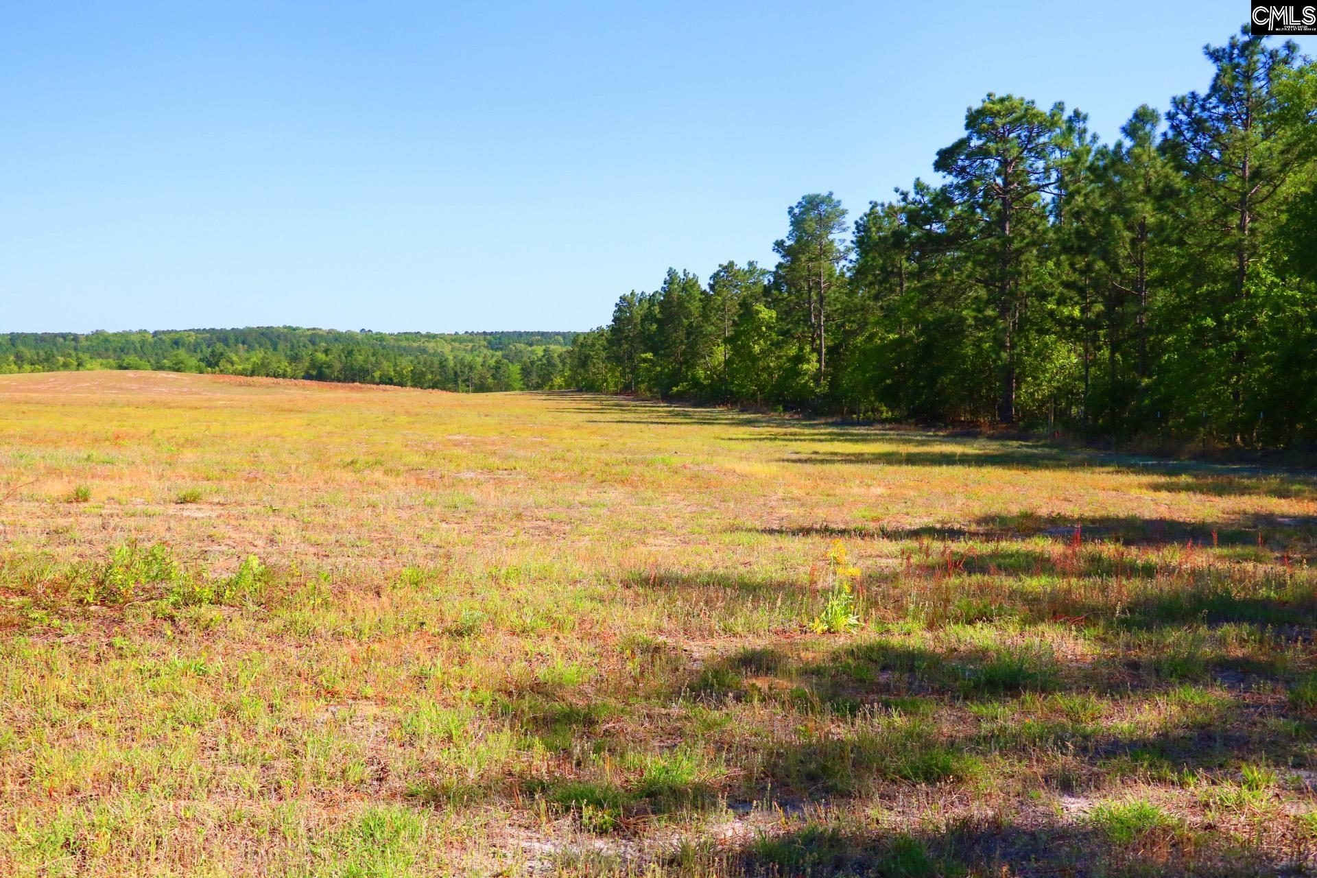 Tbd Browns Pond Road Wagener, SC 29164 - Photo 15 of 48