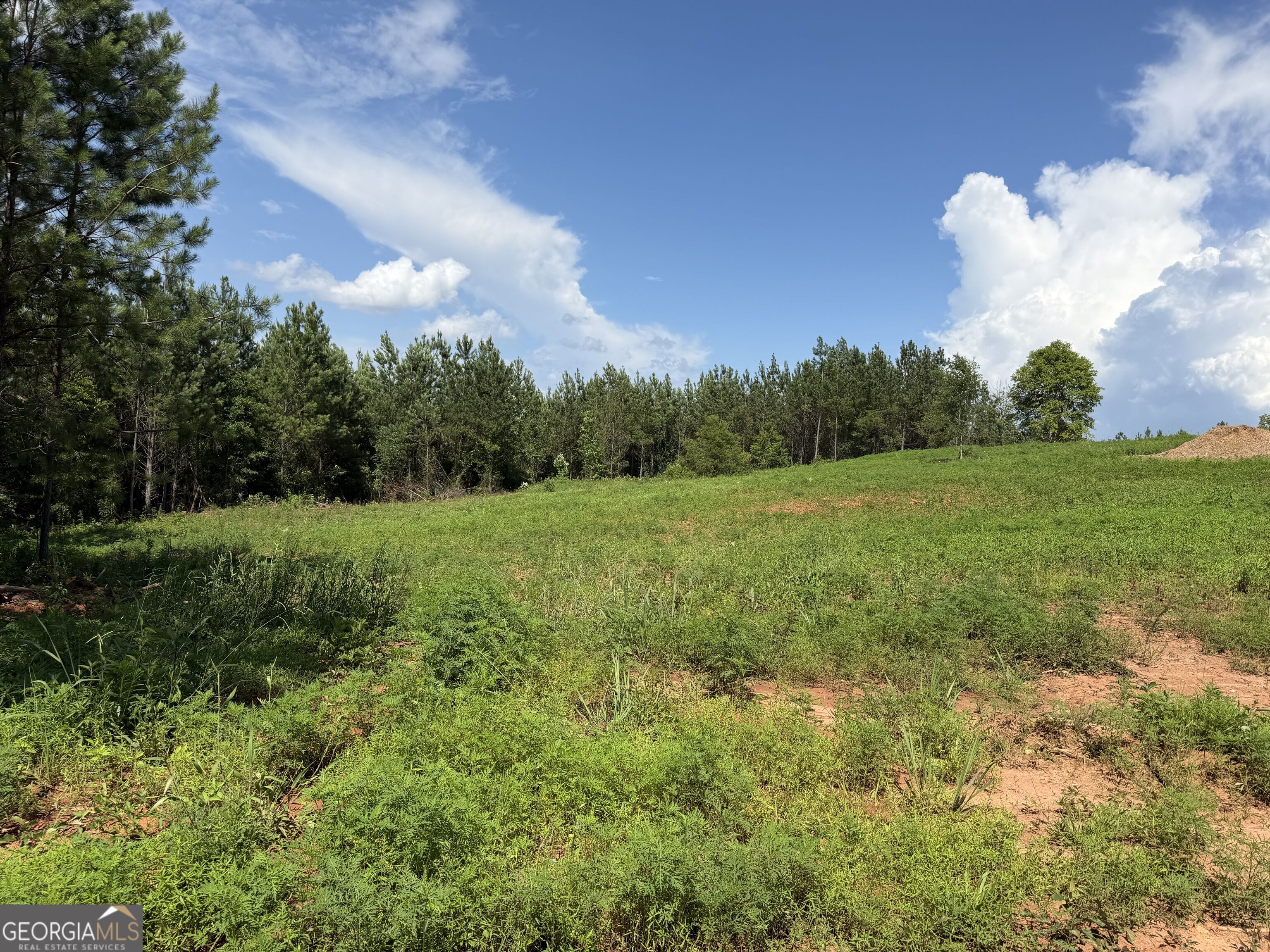190-ac Bevis Road Franklin, GA 30217 - Photo 11 of 34 Gallery Image 11