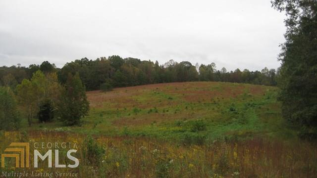 0 Sandy Flats Road, Unit 2 Cleveland, GA 30528 - Photo 1 of 1 Gallery Image 1
