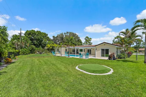 a view of a park with palm trees