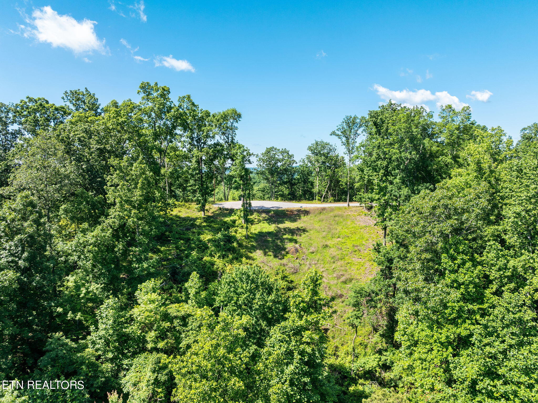 Vista Ridge Court Rockwood, TN 37854 - Photo 6 of 17 Cleared area