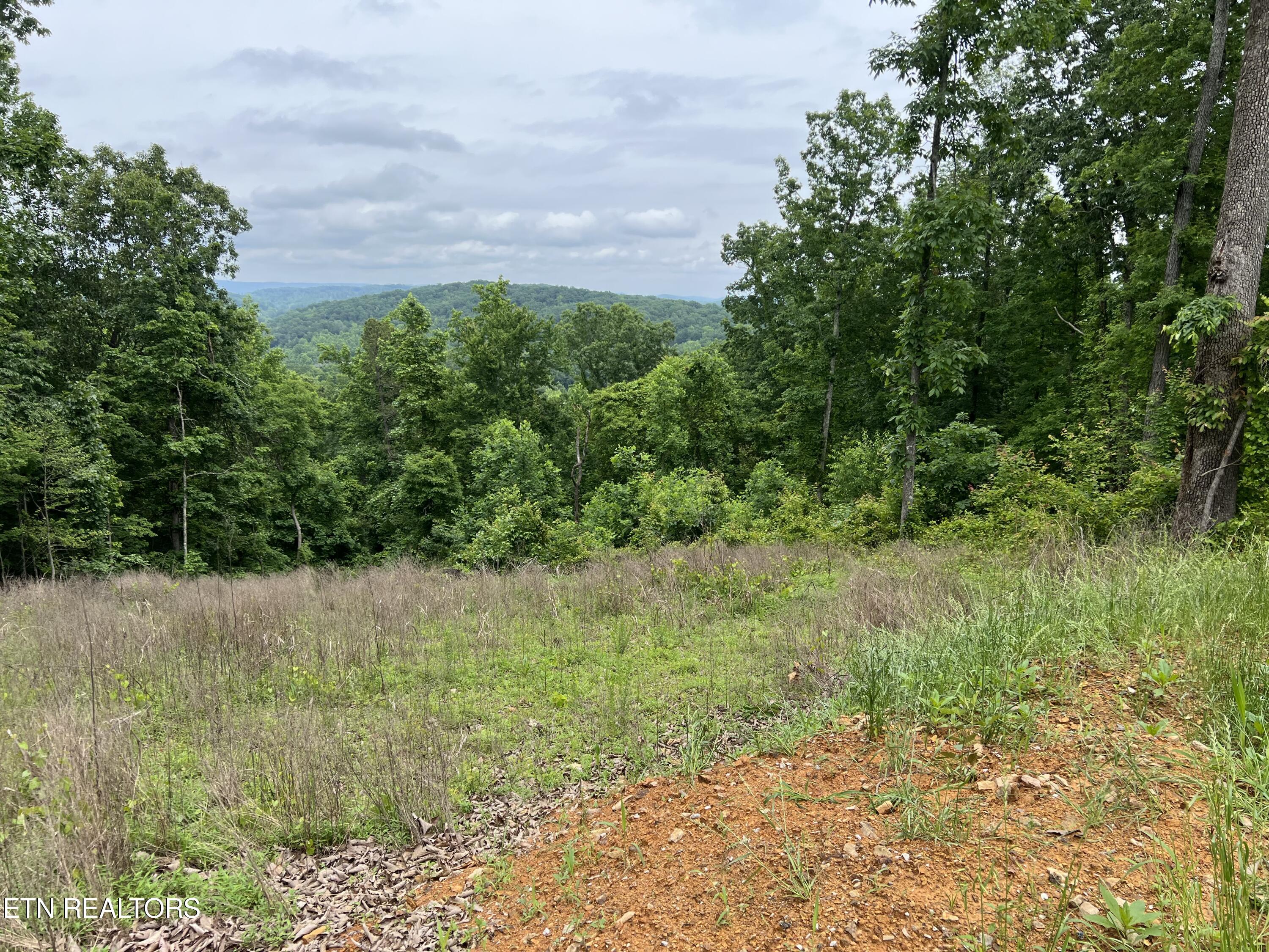 Vista Ridge Court Rockwood, TN 37854 - Photo 9 of 17 Mountain View