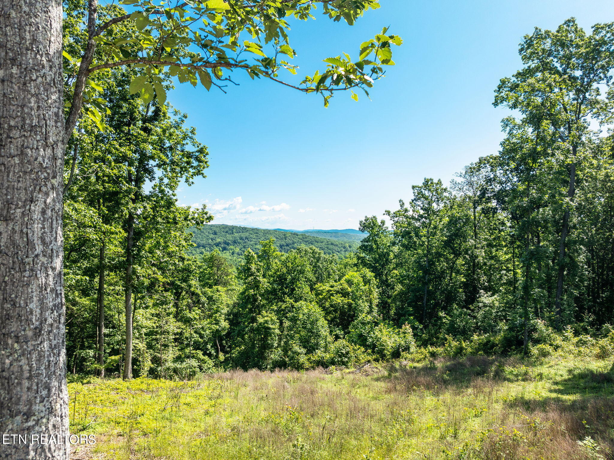 Vista Ridge Court Rockwood, TN 37854 - Photo 10 of 17 From the road looking down