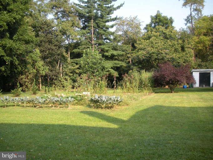 230 Dominion Road Gerrardstown, WV 25420 - Photo 13 of 15 Garden