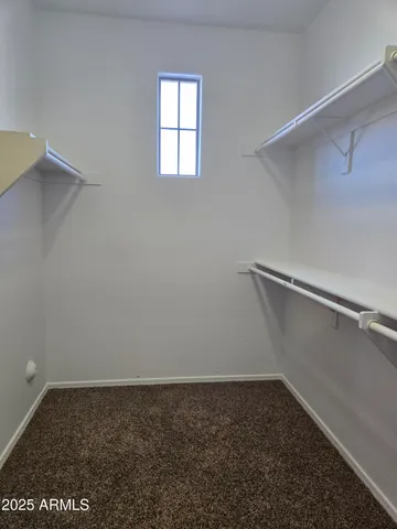 a view of a backyard with plants and tree