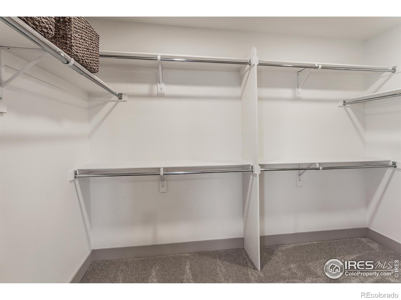 6079 Red Barn Road Fort Collins, CO 80528 - Photo 25 of 41 a view of an empty walk in closet