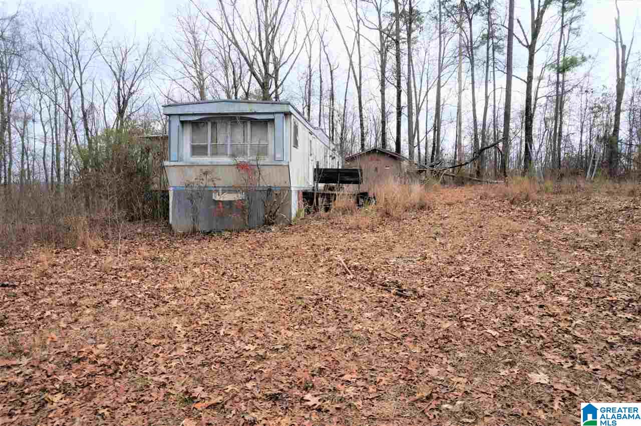 8191 Advent Cutoff Road, Unit 2 97 ACRES Trussville, AL 35173 - Photo 3 of 10