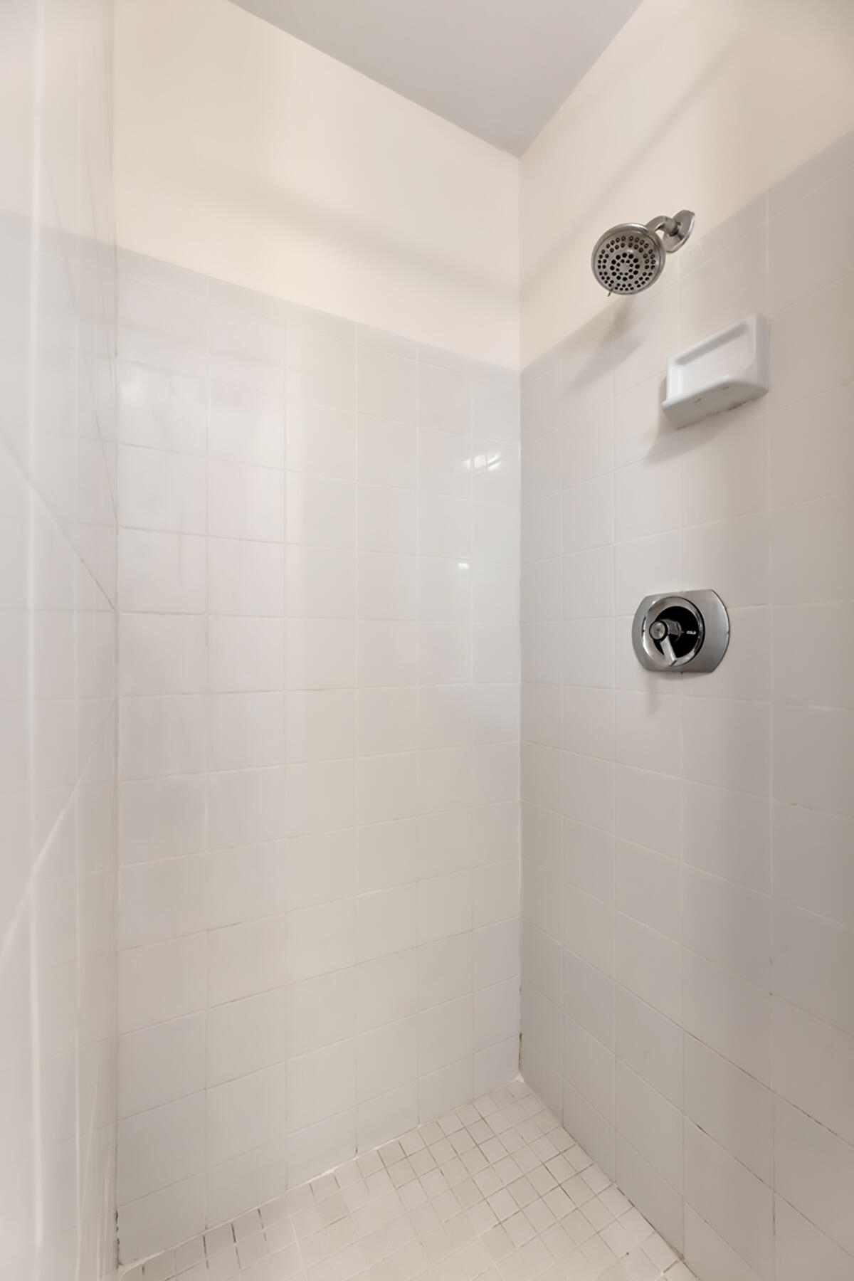 98202 Windward Avenue, Unit CONDO W/ 30 FT BOAT SLIP Key Largo, FL 33037 - Photo 36 of 36 a close view of a shower in bathroom