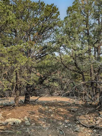 $31,999 | 1704 Willow Creek Way, Crestone, CO 81131