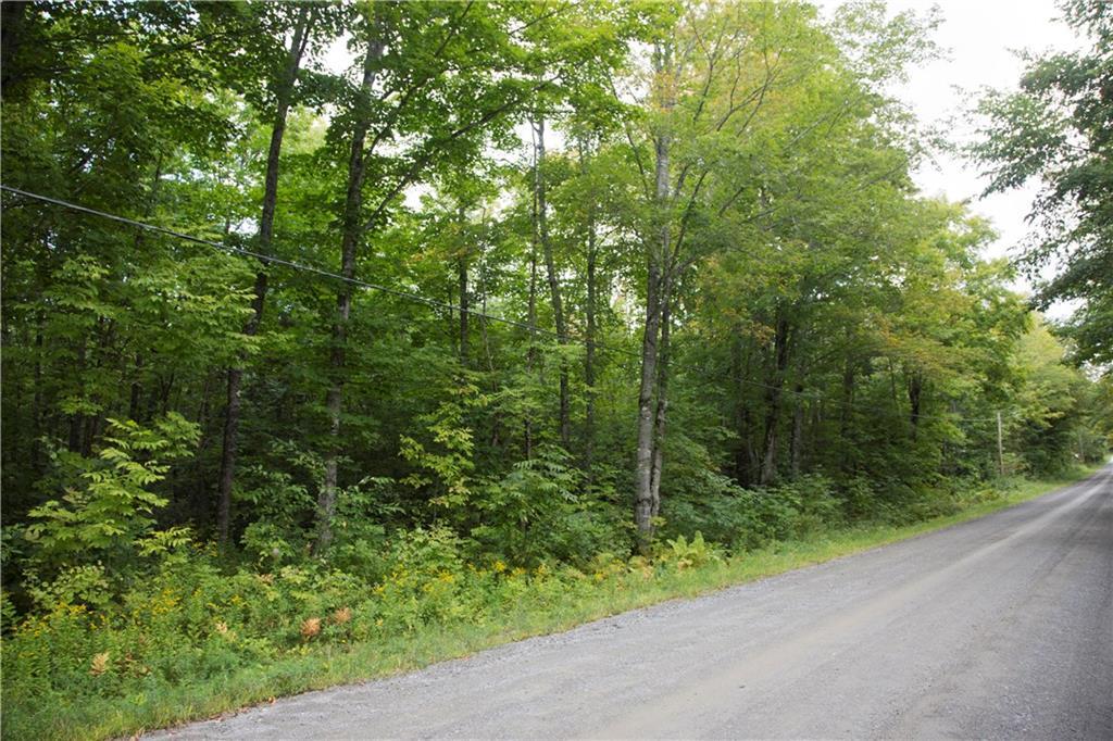 Tbd Cottrell Road Dixmont, ME 04932 - Photo 11 of 15 Along south side of road frontage