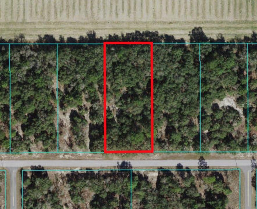 0 Southwest Pine Bluffs Road, Unit LOT 22 Dunnellon, FL 34431 - Photo 1 of 1