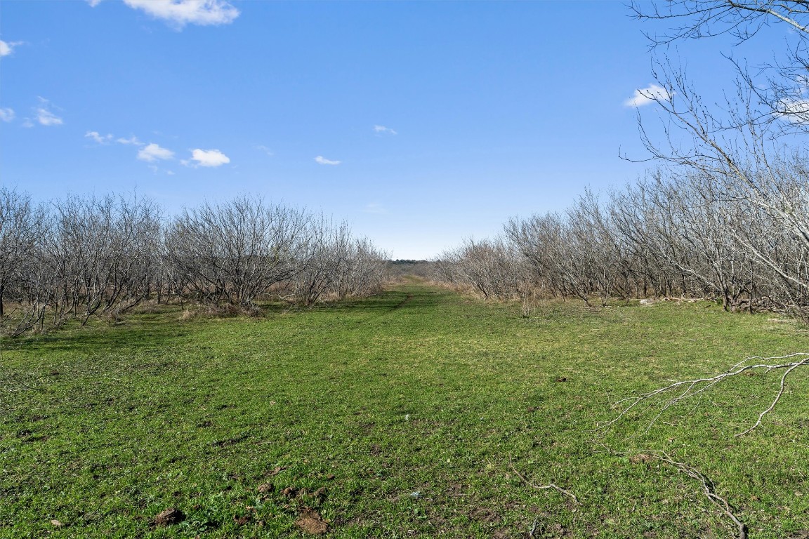 0 Rolling Ridge Road Lockhart, TX 78644 - Photo 17 of 38