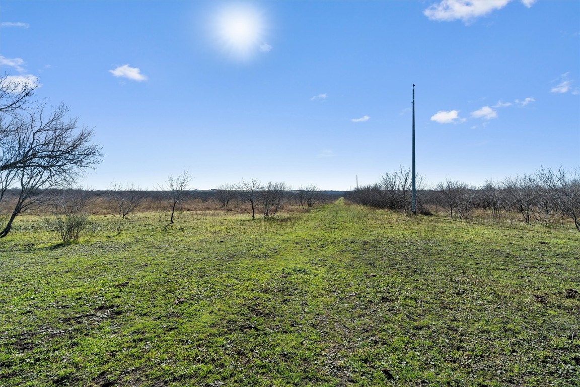 0 Rolling Ridge Road Lockhart, TX 78644 - Photo 19 of 38 Property is mostly flat, consisting of black soils