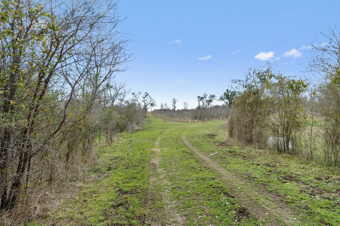 0 Rolling Ridge Road Lockhart, TX 78644 - Photo 32 of 38