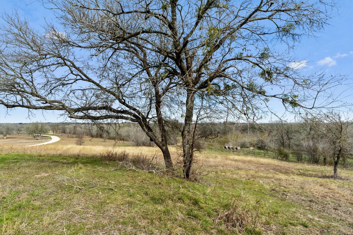 0 Rolling Ridge Road Lockhart, TX 78644 - Photo 36 of 38