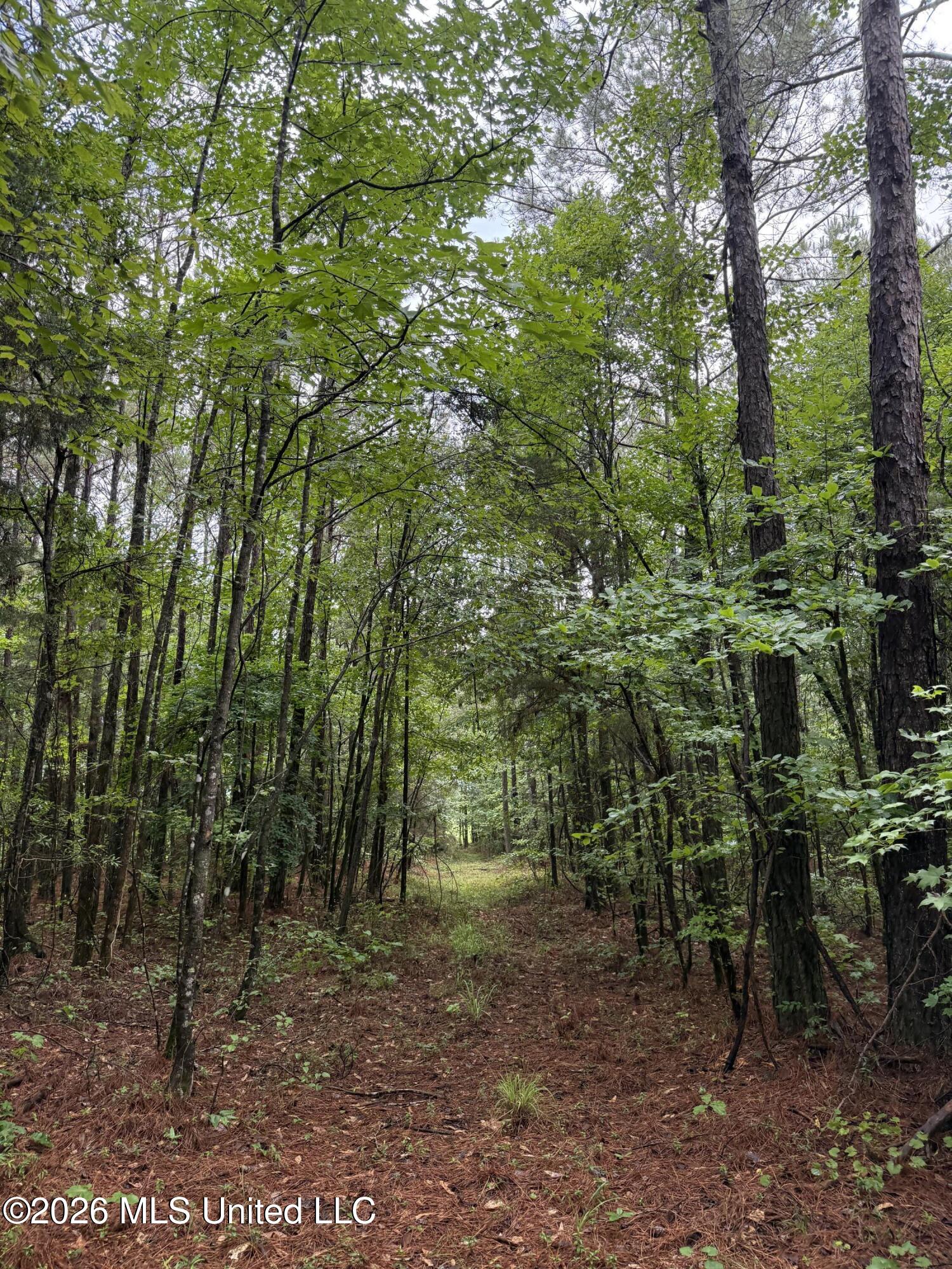 2136 Co Road McCool, MS 39108 - Photo 6 of 29 5