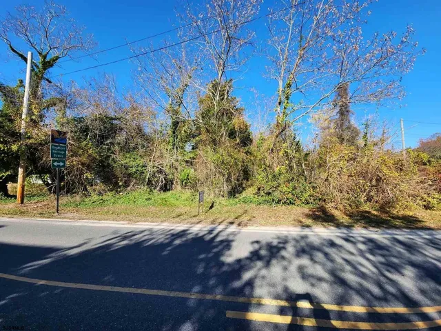 a view of a yard with an tree
