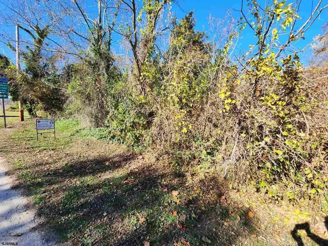 a view of outdoor space with a tree