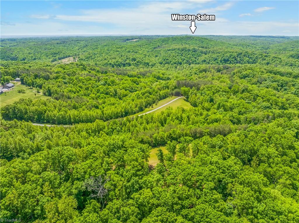 1392 Mission Road Danbury, NC 27016 - Photo 16 of 29