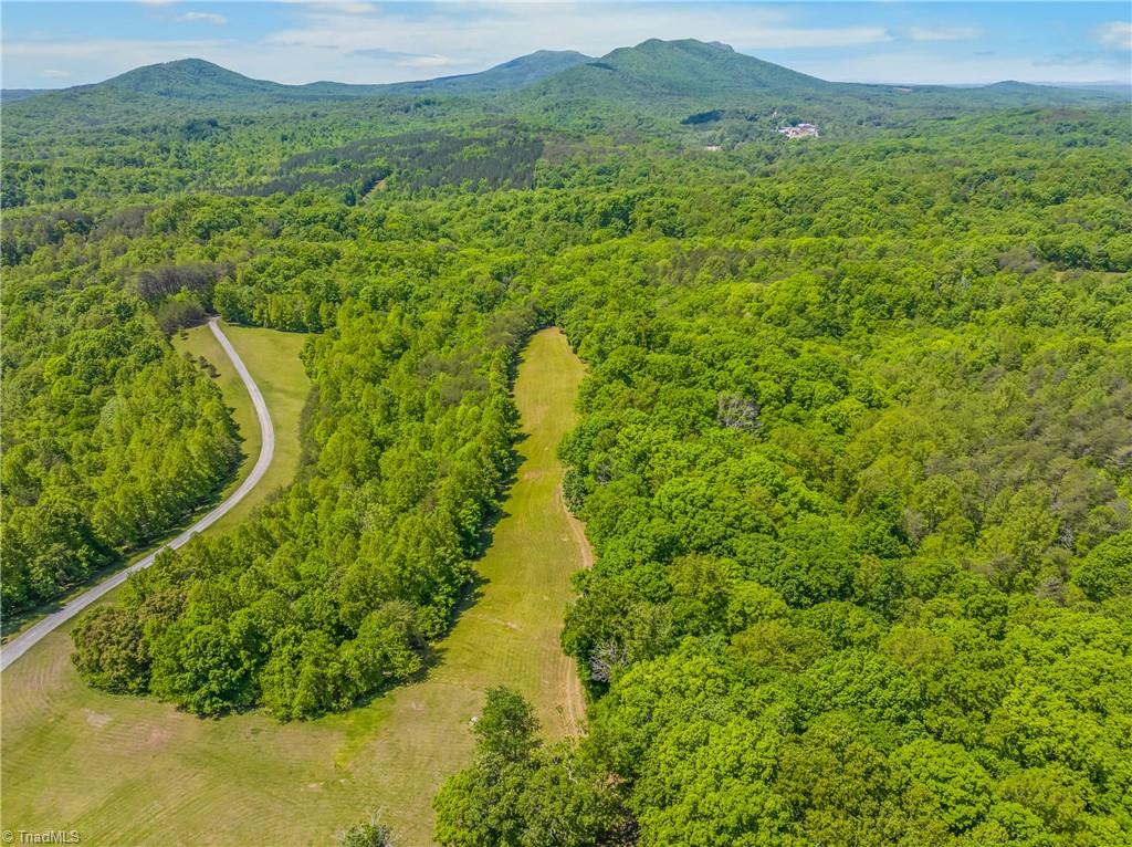 1392 Mission Road Danbury, NC 27016 - Photo 17 of 29