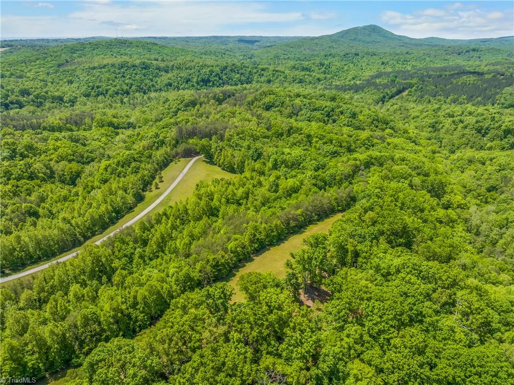 1392 Mission Road Danbury, NC 27016 - Photo 19 of 29