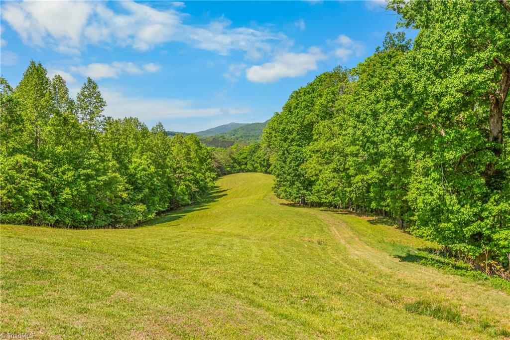 1392 Mission Road Danbury, NC 27016 - Photo 2 of 29