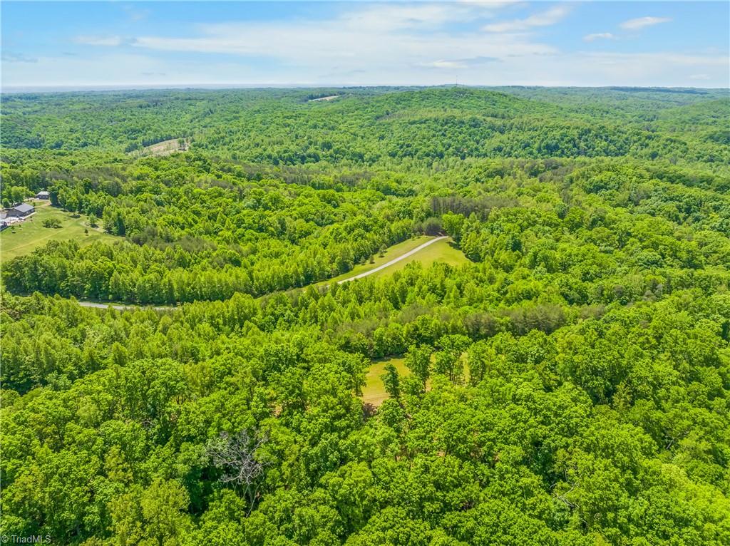 1392 Mission Road Danbury, NC 27016 - Photo 23 of 29