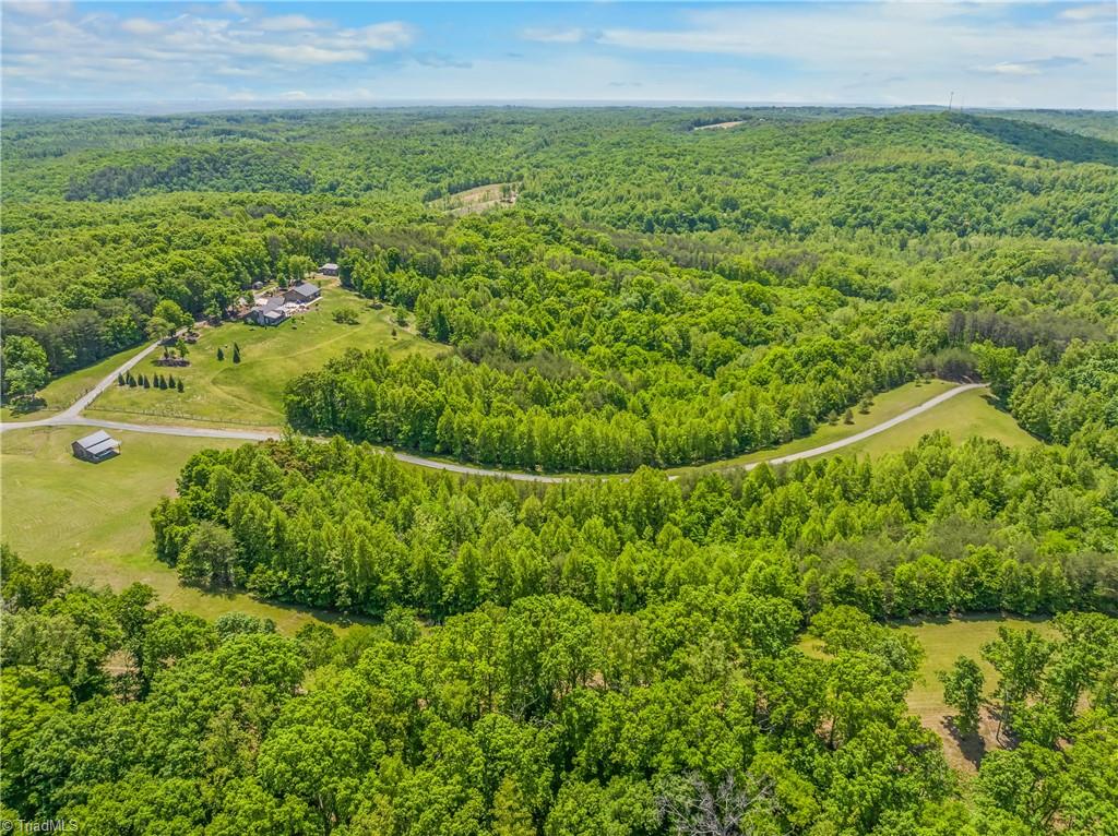 1392 Mission Road Danbury, NC 27016 - Photo 26 of 29