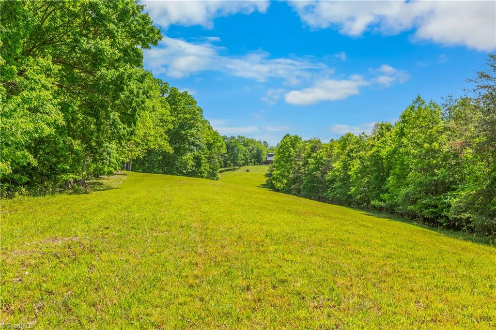 1392 Mission Road Danbury, NC 27016 - Photo 3 of 29 View Back to Entrance