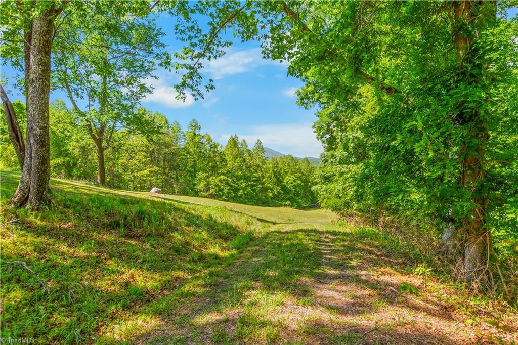 1392 Mission Road Danbury, NC 27016 - Photo 4 of 29 Driveway Onto the Property