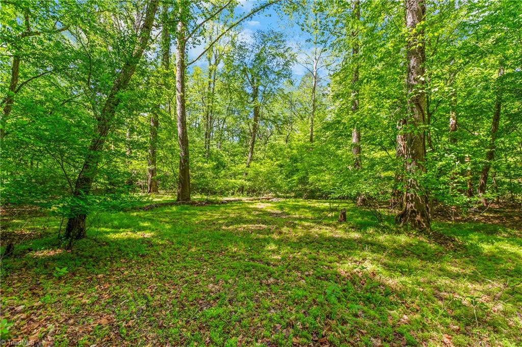 1392 Mission Road Danbury, NC 27016 - Photo 6 of 29 Lower Section of the Property