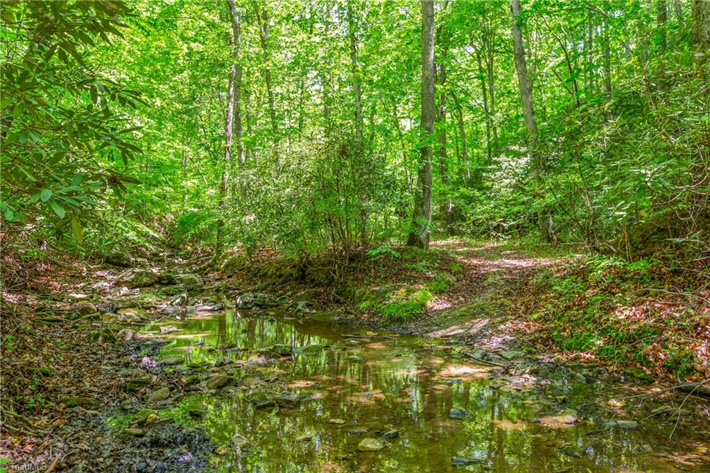 1392 Mission Road Danbury, NC 27016 - Photo 7 of 29