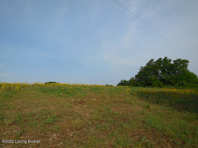 0 Drennon Road New Castle, KY 40050 - Photo 7 of 20 DSCN2089